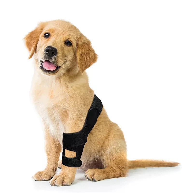 Adjustable Pet Dog Knee Brace  - Car Accessories For Elderly ulasan dan harga
