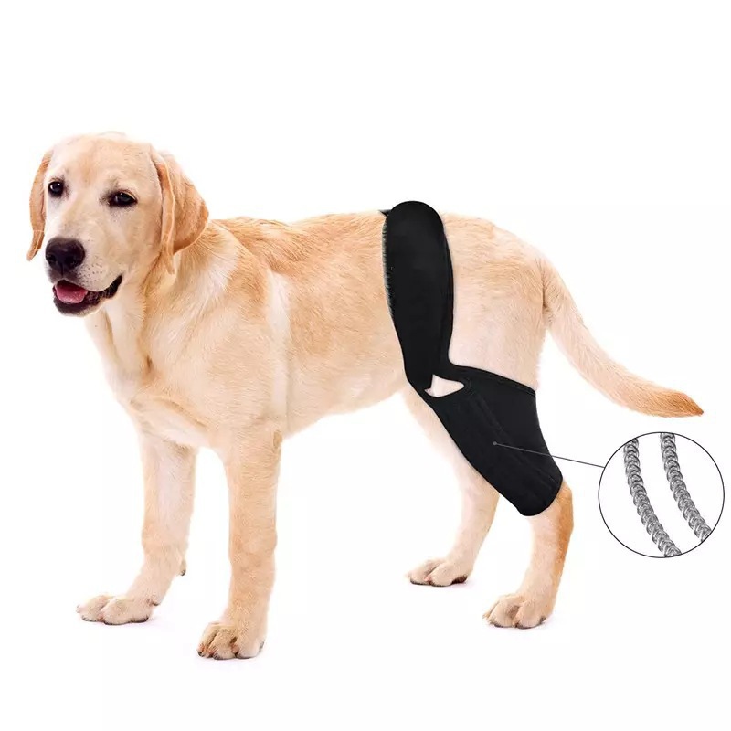 Adjustable Pet Dog Knee Brace  - Car Accessories For Elderly ulasan dan harga